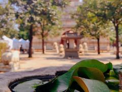 -北京石刻艺术博物馆(五塔寺)