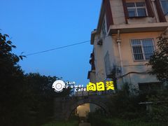 -向日葵咖啡