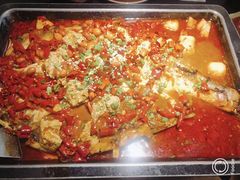海鲈鱼-炉鱼(萧山万象汇店)