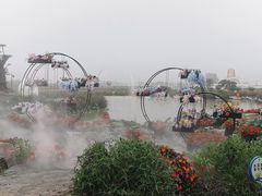 -荷兰花海