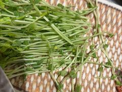 -樱煦和牛寿喜烧(如皋吾悦广场店)