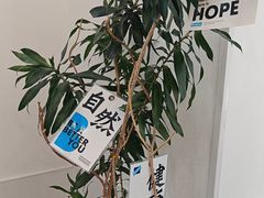 -Blueglass酸奶(上生新所店)