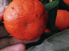 -PAGODA百果园(台柳路凯德广场店)