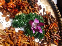 -老滇山寨•云南特色菜•地方菜•民族风情歌舞表演(金碧店)