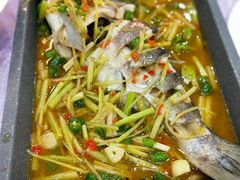 活渡花鲢-蜀江春(科华北路店)