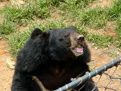 -大连森林动物园