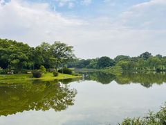 -东莞植物园