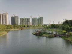 -王借岗森林公园
