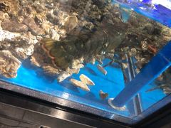 -盒马鲜生(岭南新世界店)