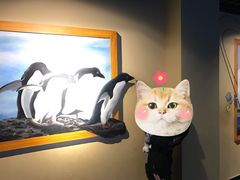 -秦皇岛新澳海底世界-停车场