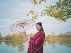 -金塔沙漠胡杨林景区