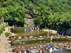 -北仑森林植物园