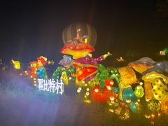 -大塘金香草谷