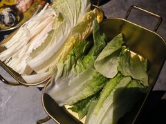 -Darling Queen·Mini·Live·House