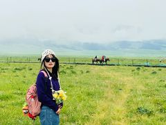 -新疆那拉提国家旅游度假区