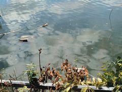 -东湖食堂·湖景餐厅•会议