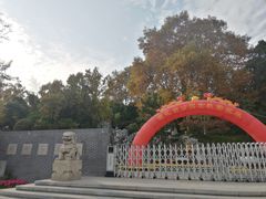 -菊花台公园