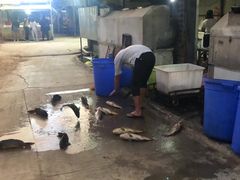 -杨合林啊兰烤鱼