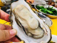 -蚝专家(北滘店)