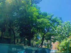 -漫咖啡 (CCPAPK创意港店)