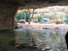 -悉尼海洋生物水族馆