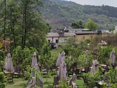 -桃源山庄·水蜜桃采摘·柴火鸡·烧烤团建(龙泉山店)