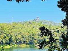 -红花湖景区