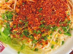 -老陈婆手工面庄