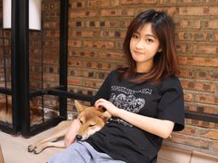 -柴犬高等学院·狗咖·柴犬售卖·宠物训练