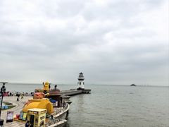 -野狸岛