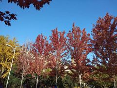 -辽宁大学(崇山校区)