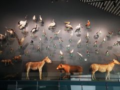 -中国湿地博物馆