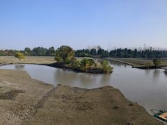 -溱湖国家湿地公园