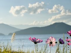 -丽江泸沽湖景区