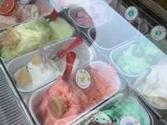 -柠檬车露(卖草地店)