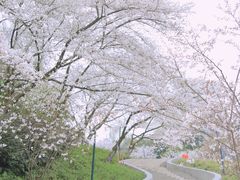 -杭州少年儿童公园
