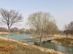-江苏三台山国家森林公园