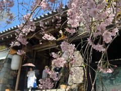 -三千院