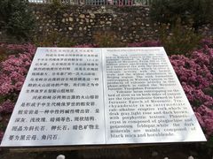 -乌龙峡谷景区