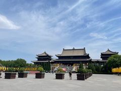 -大槐树寻根祭祖园