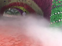 -泰安方特欢乐世界
