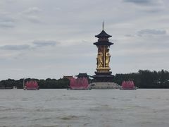 -溱湖国家湿地公园