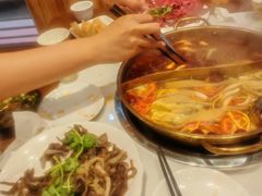 -乡土特色.冷锅鱼.牦牛肉火锅