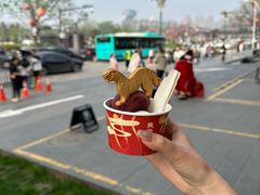 -陕拾叁-西安糕点(大雁塔店)