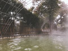 -三江森林温泉度假区