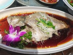 -东北大院·东北菜(三台子店)