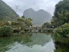 -靖西鹅泉风景区
