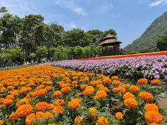 -广州市石门国家森林公园