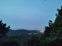 -雨花胜境