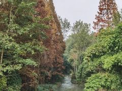 -桤木河湿地公园